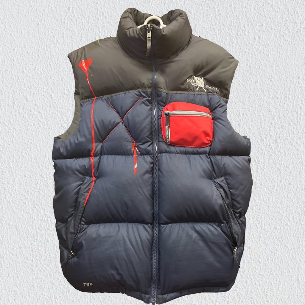 Northface PAINTFACE (men’s:large Wmns:XL )