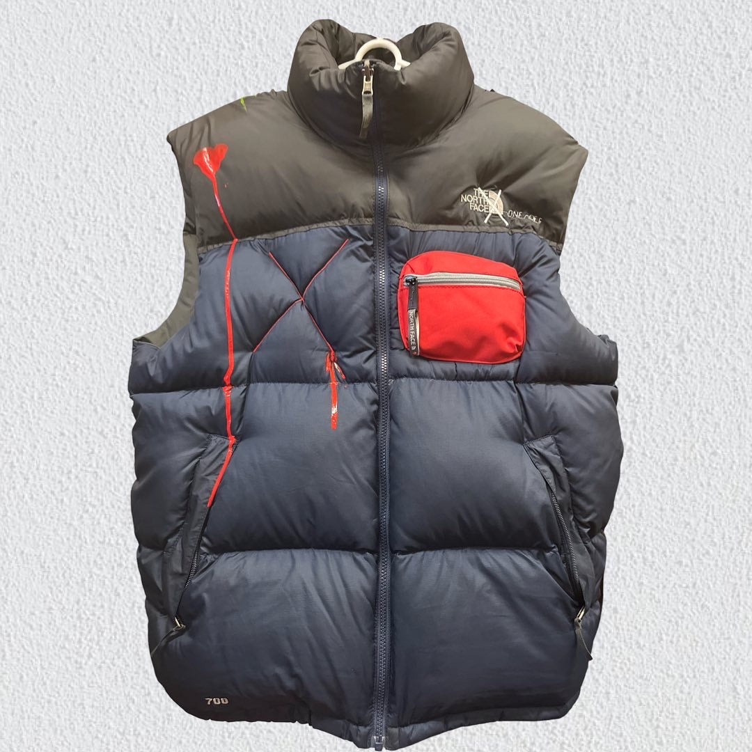 Northface PAINTFACE (men’s:large Wmns:XL )